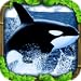 Orca Simulator