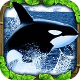 Orca Simulator