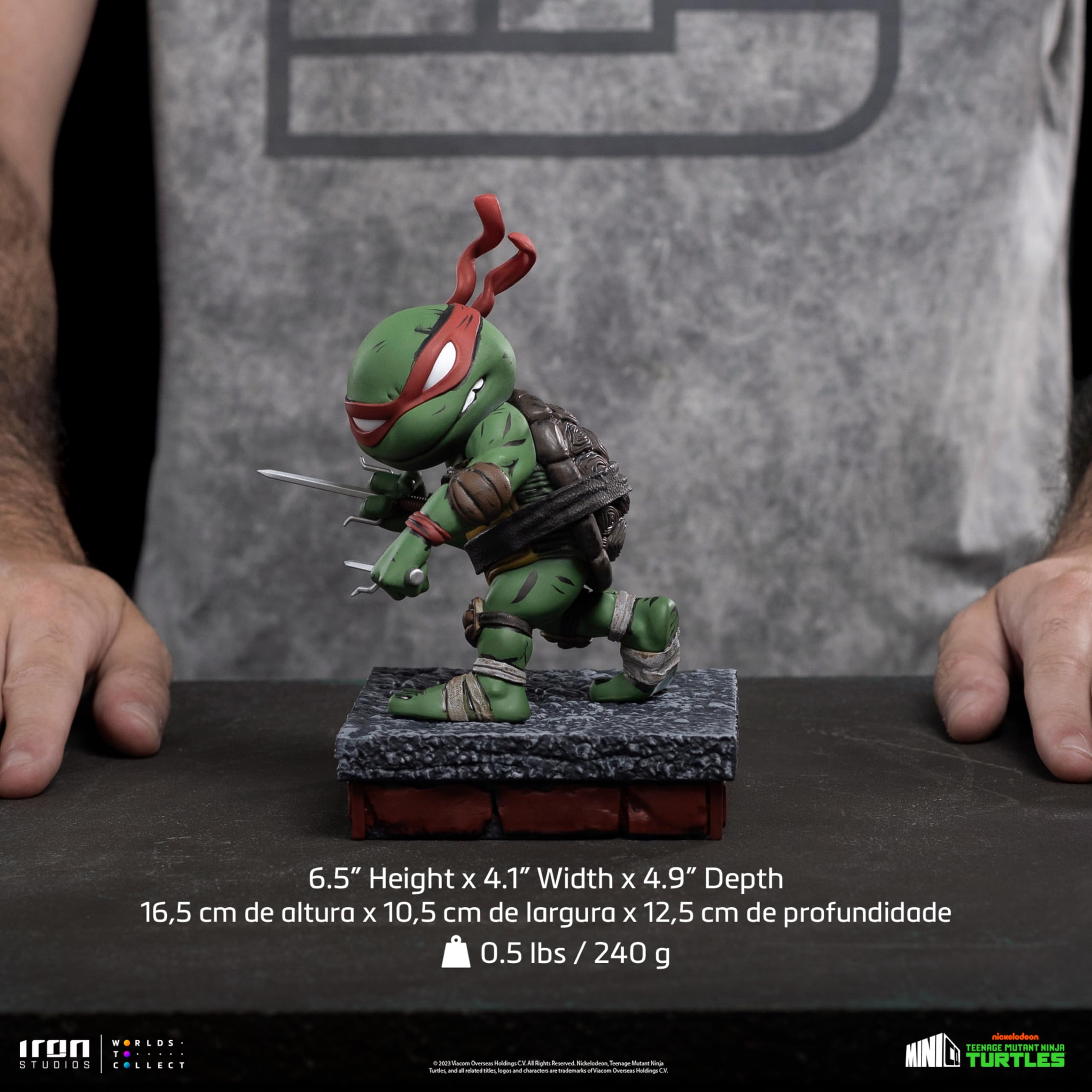 Amazon.com: Teenage Mutant Ninja Turtles: Raphael (V.2 Red Masks