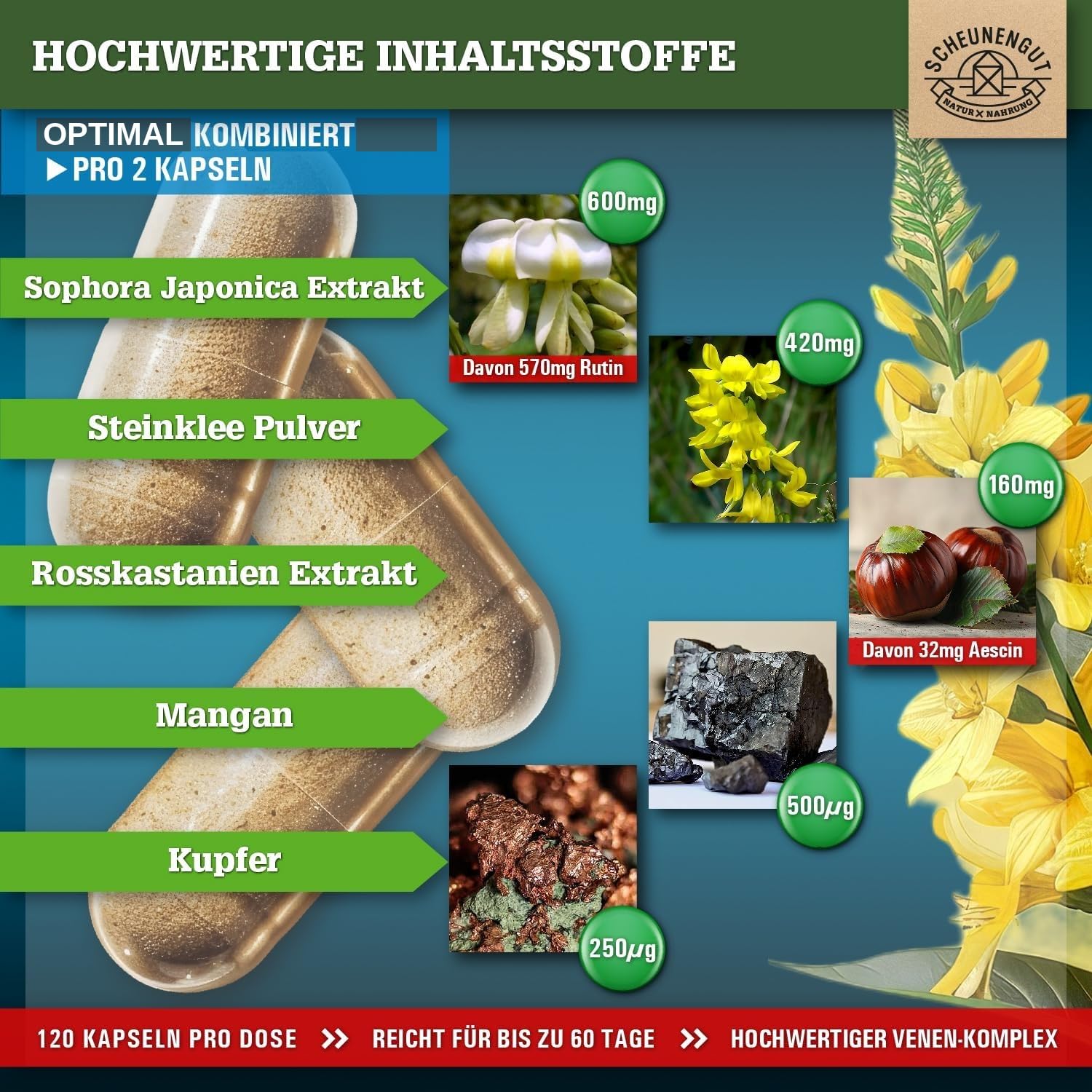 VENENKRAFT® Rutin Steinklee Kapseln Hochdosiert - WICHTIG: Laborgeprüfter Venen-Komplex mit Rutin, Steinklee, Rosskastanienextrakt, Mangan,Kupfer uvm. 120 Stk DE SCHEUNENGUT®
