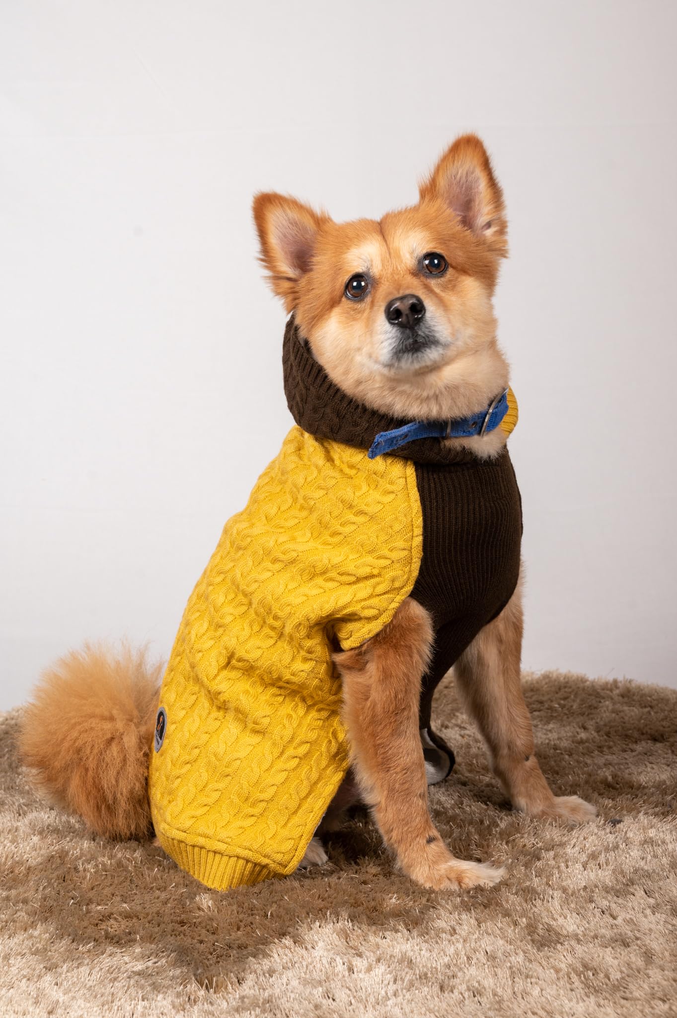 Petsnugs Cable Knit Sweater Winter Wear Suitable for Dogs and Cats (M) (B0CD7Y13GH) Amazon Price History, Amazon Price Tracker