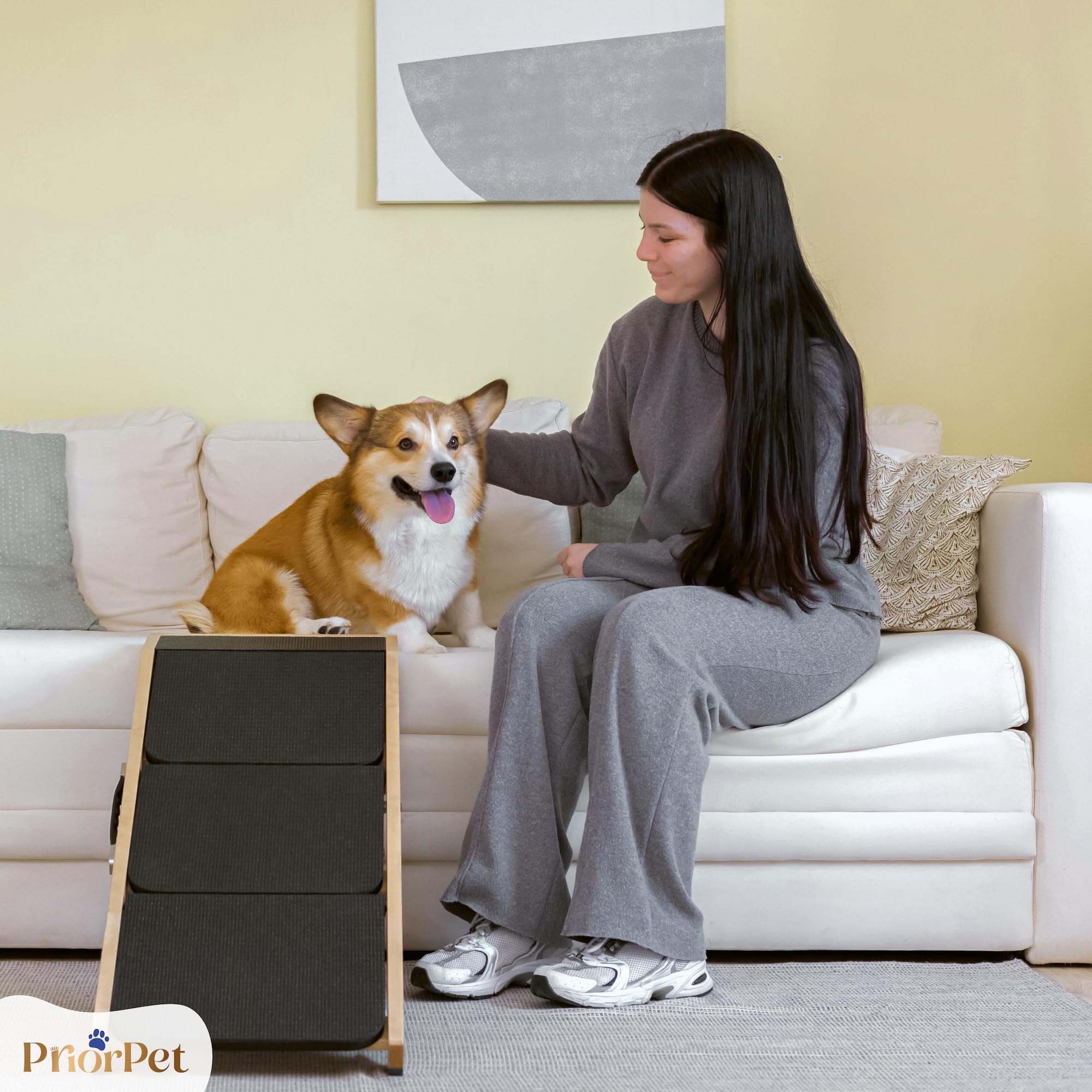 Escalones y Rampa para Perros 2-en-1 - Escalera/Rampa Ajustable en Altura para Sofá 18-50 cm - Escalones para Mascotas, Escalones para Perros Pequeños - con Plataforma de Aterrizaje, Natural