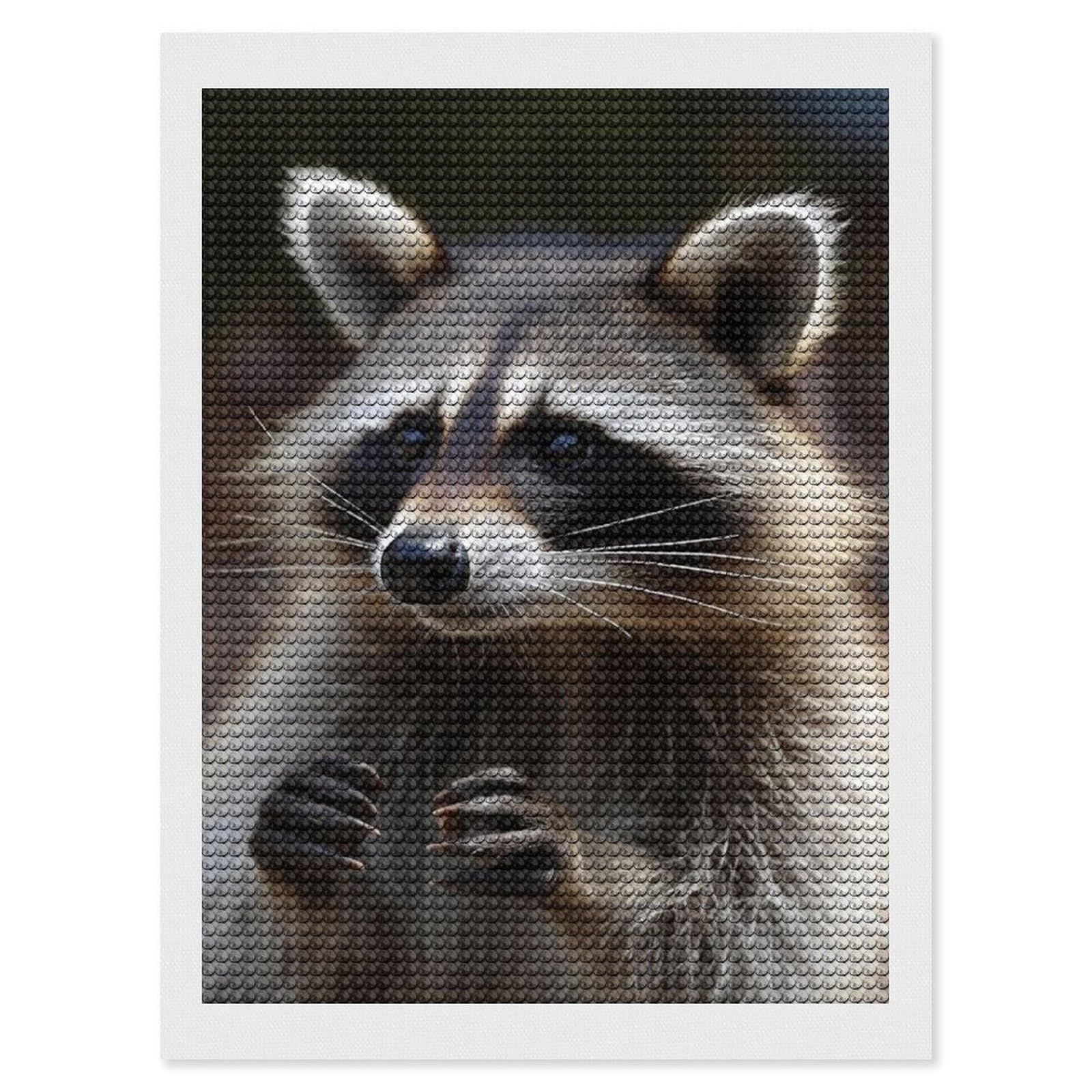 Raccoon Diamond Art Kits for Adults, DIY 5D Diamonds Painting Kits for Beginner, Round Full Drill Diamond Dots Painting, Diamonds Pictures Gem Art and Crafts Wall Decor 12"x16"
