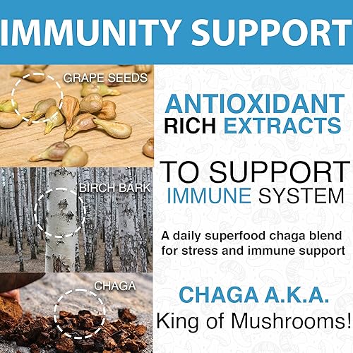 Miniatura 5 de REKEMEND Suplemento de hongos para apoyo inmunológico contiene extractos de melena de león cordyceps y hongos Reishi - 60 cápsulas