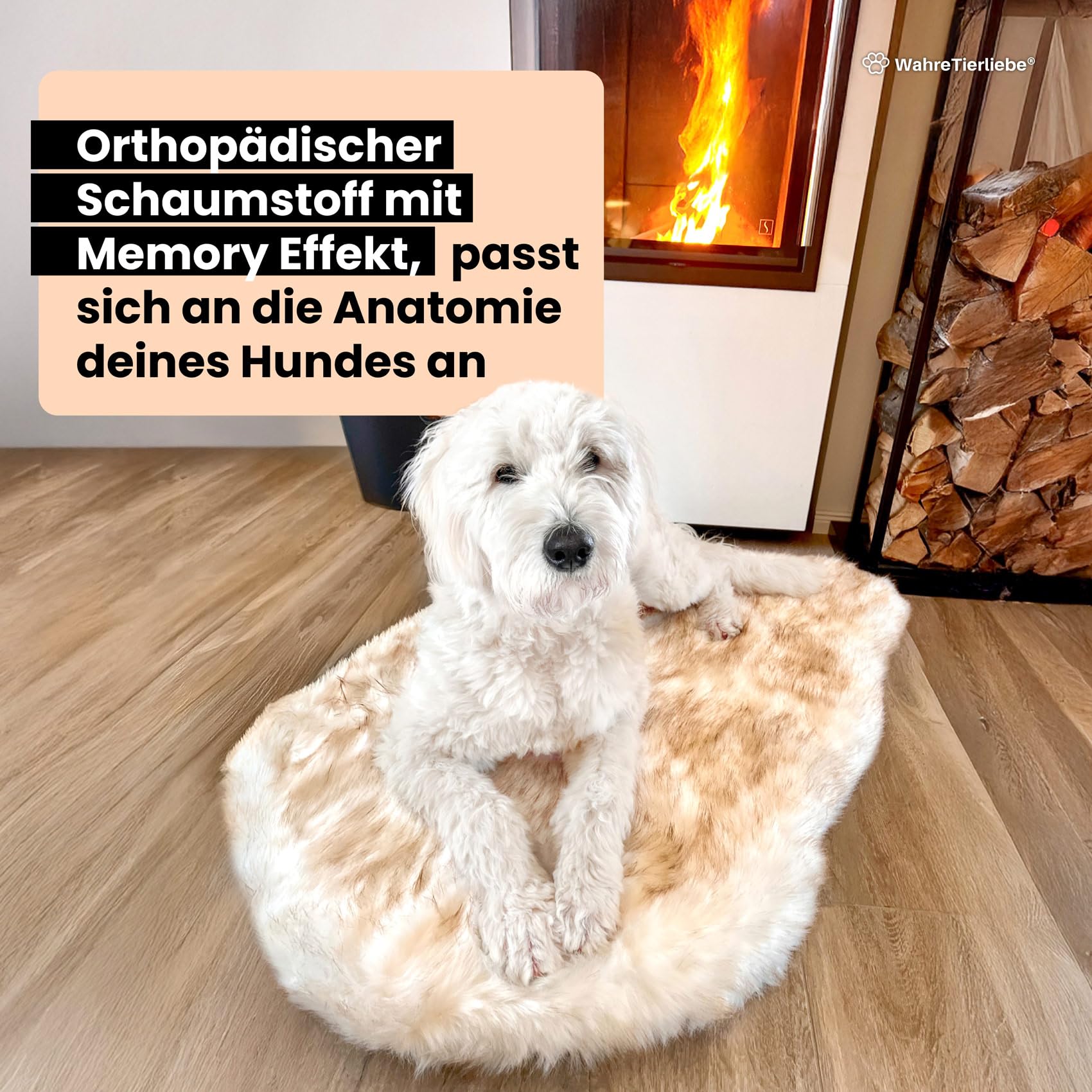 trockenfutter für kleine hunde Trockenfutter mini für kleine Rassen und kleine Hunde main image 0