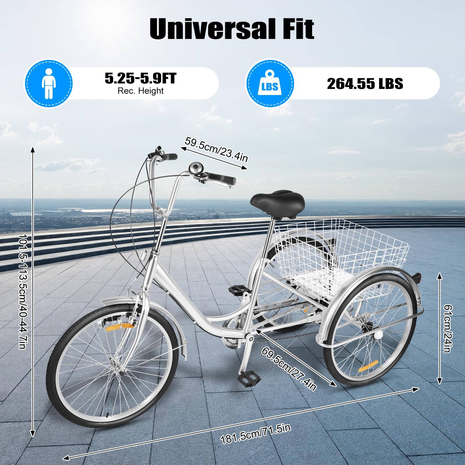Triciclo per adulti, 24 pollici, 3 ruote per adulti, Shimano 6 marce Cruise Trike Cargo Bike con cestino, bicicletta per sport all'aria aperta e shopping
