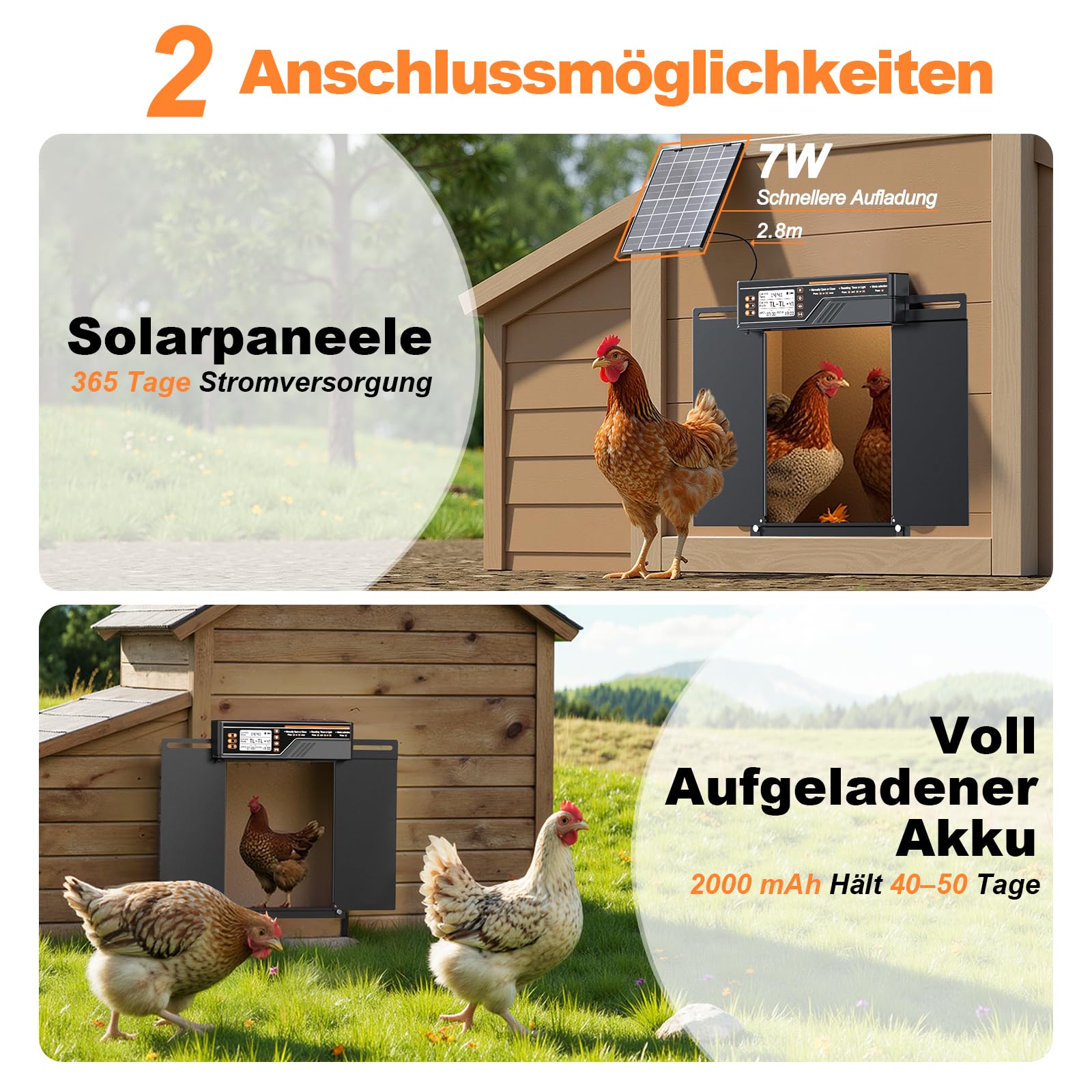 Größe Automatische Hühnerklappe Solar, Seitlich Öffnende Doppelschiebetür, Elektrische Hühnerklappe Automatisch Hühnertür mit Timer, Lichtsensor, Fernbedienung, Intelligenter Einklemmschutz