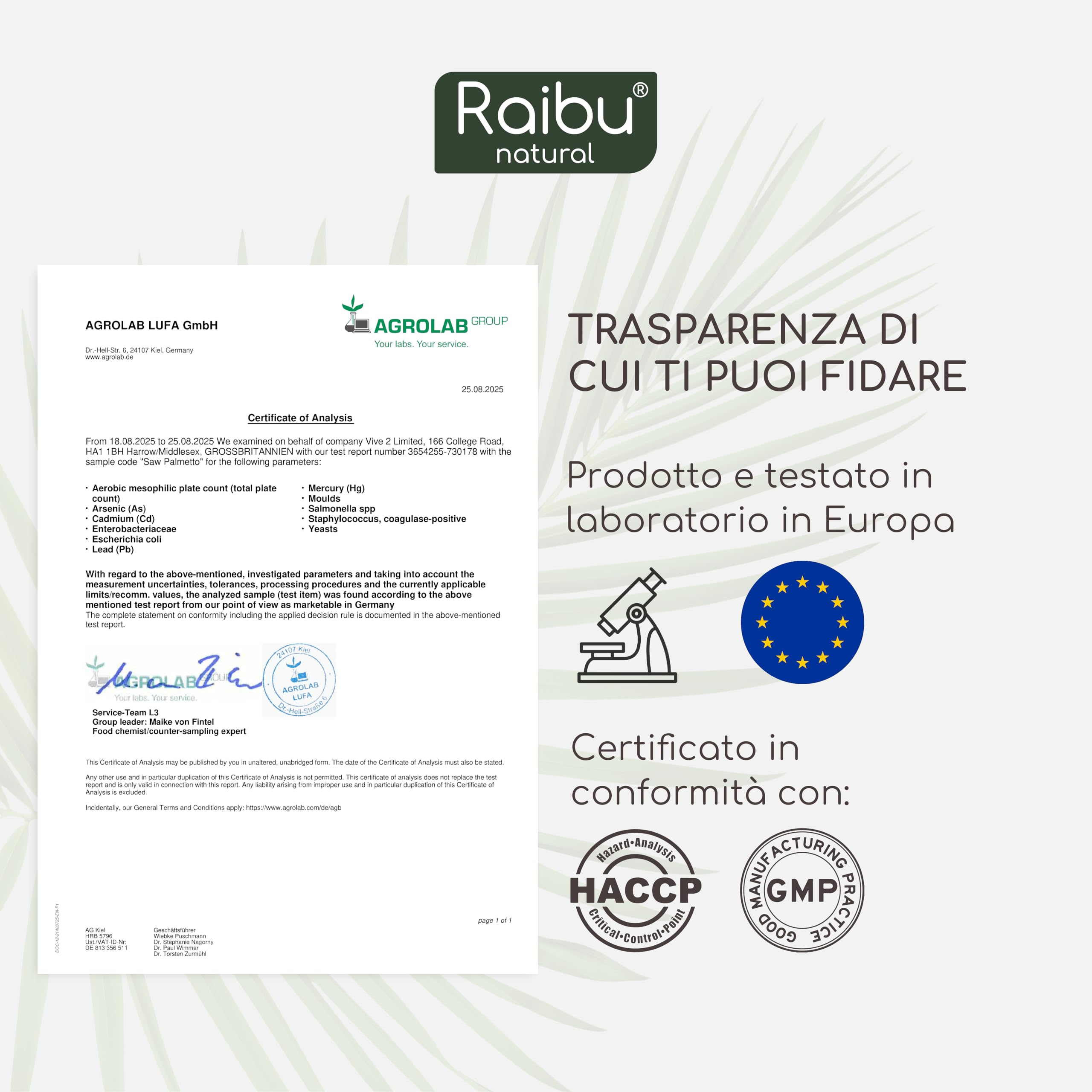 Serenoa Repens - 1100 mg Integratore per la Prostata Uomo, Estratto 20:1 di Saw Palmetto (Serenoa Repens) con Semi di Zucca - 120 Capsule Vegane, Senza Additivi - Raibu