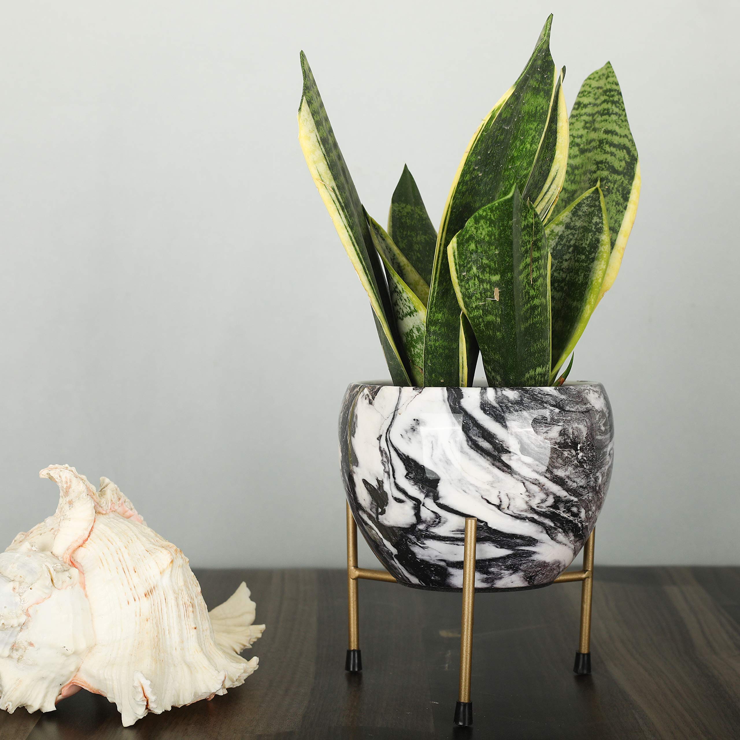 See full amazon price history chart for Homspurts Beautiful Marble Designer Indoor Table Plant Pots with Stand Decorative Pots for Indoor Plants Rust Free Metal Plant Pots | Brown, 6 Inches (Plant not Included) Homspurts Beautiful Marble Designer Indoor Table Plant Pots with Stand Decorative Pots for Indoor Plants Rust Free Metal Plant Pots | Brown, 6 Inches (Plant not Included) (B09P44MQNQ) Amazon Price History, Amazon Price Tracker