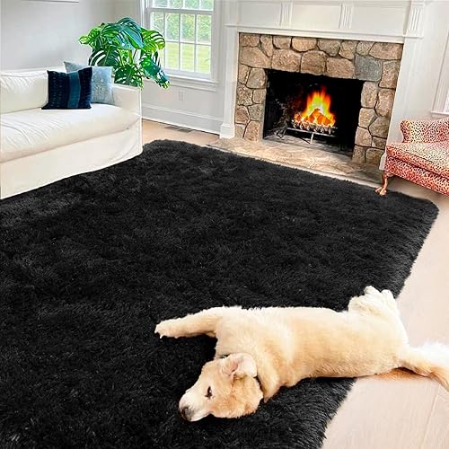 Vasofe 5'x7' Black Fluffy Area Rug for Bedroom, Large Fuzzy Living Room Rug, Shag Plush Nursery Rug for Kids Dorm Classroom Teen Soft Shaggy Furry Throw Carpet, Indoor Home Decor Floor Mat