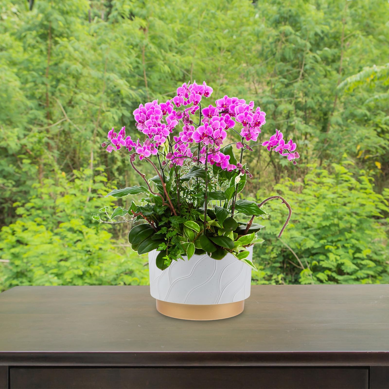 Doniczka na storczyki: Doniczka na sukulenty, doniczki ogrodowe, wazon na kwiaty, do Phalaenopsis, zieleń wewnętrzna, na zewnątrz, do wewnątrz, na balkon