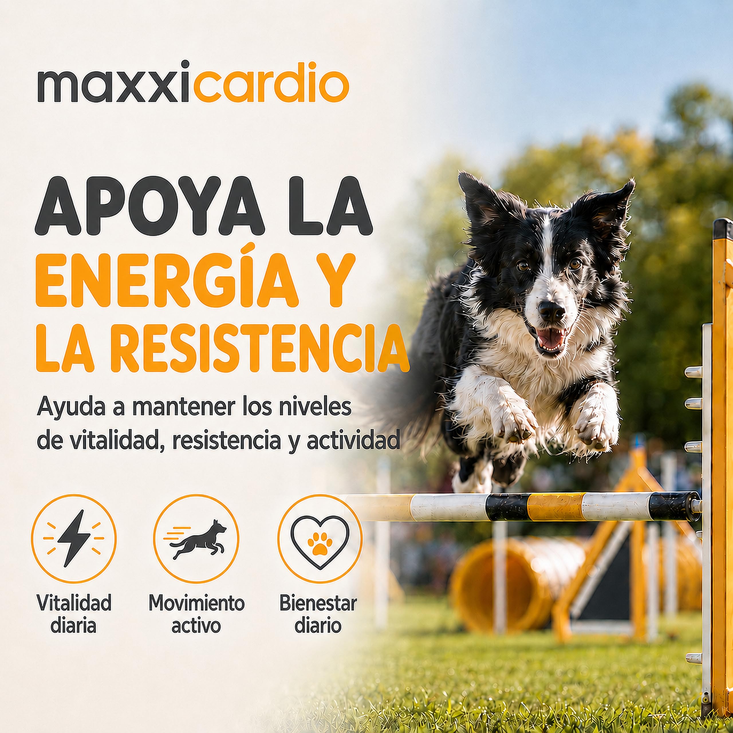 maxxipaws maxxicardio Soporte para el Corazón y el Sistema Cardiovascular - Suplemento en Polvo para Perros, 90 g