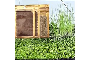 3 Pack Aquarium Plant Seed Set, Aquarium Carpet, Not Artificial Plastic Plant....