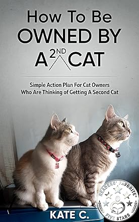 How To Be Owned By A 2nd Cat