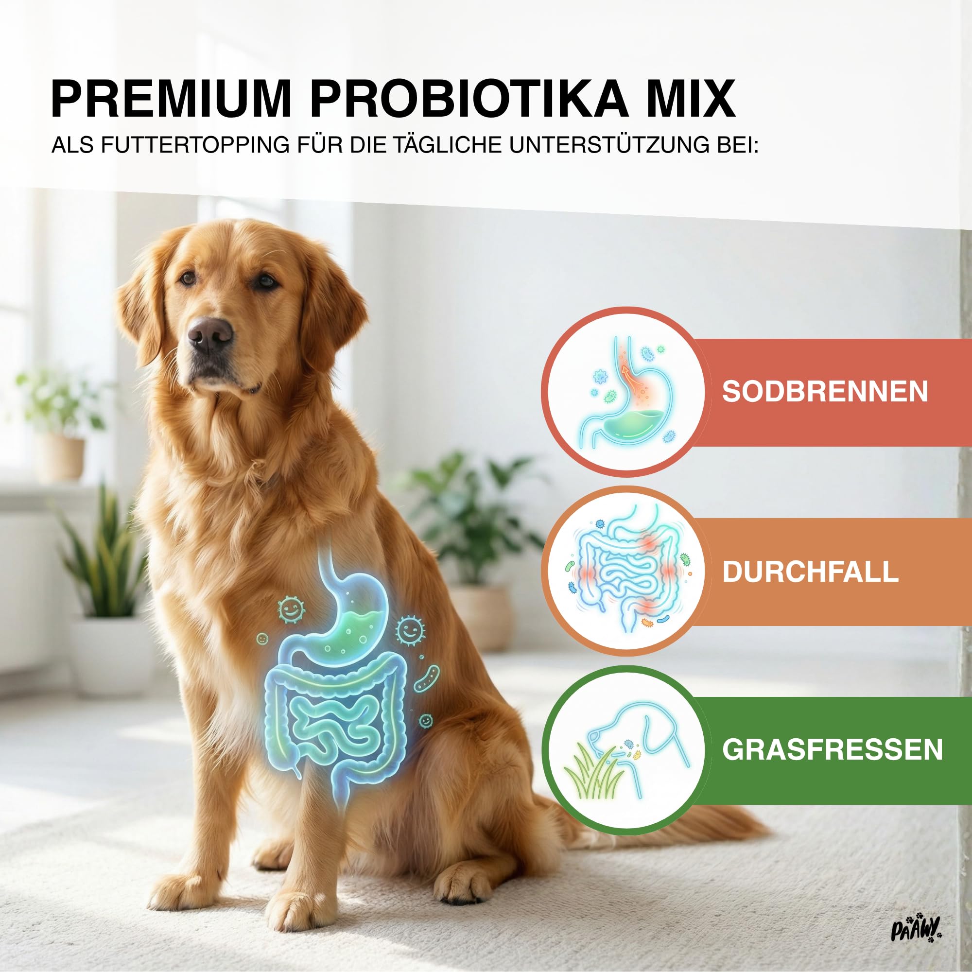 Probiotika Hund - 10-in-1 Wirkstoff-Komplex mit Ulmenrinde & Moor - Pro- & Präbiotika Futtertopping unterstützt bei Durchfall & Sodbrennen Hund - Gras- und Kotfresser Vorsorge Made in Germany