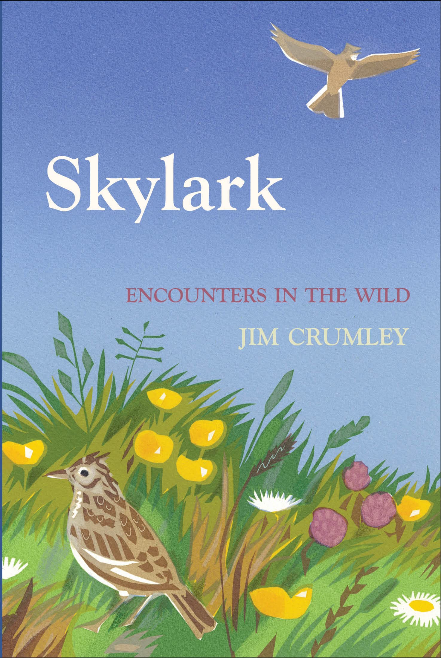 Skylark (Encounters in the Wild)
