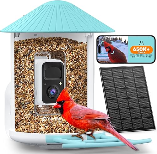 NETVUE by Birdfy - Alimentador inteligente para pájaros con cámara AI alimentado por energía solar, observación inalámbrica de aves silvestres de 2