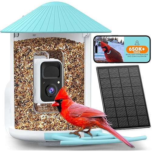 NETVUE by Birdfy Smart Bird Feeder with AI Camera Solar Powered, 2MP Wireless Wildbird Watching, Live Stream & Night Vision, Auto-Capture & Notify, Collection & Cloud Storage (AI by Subscription)