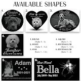 Ver la foto 7