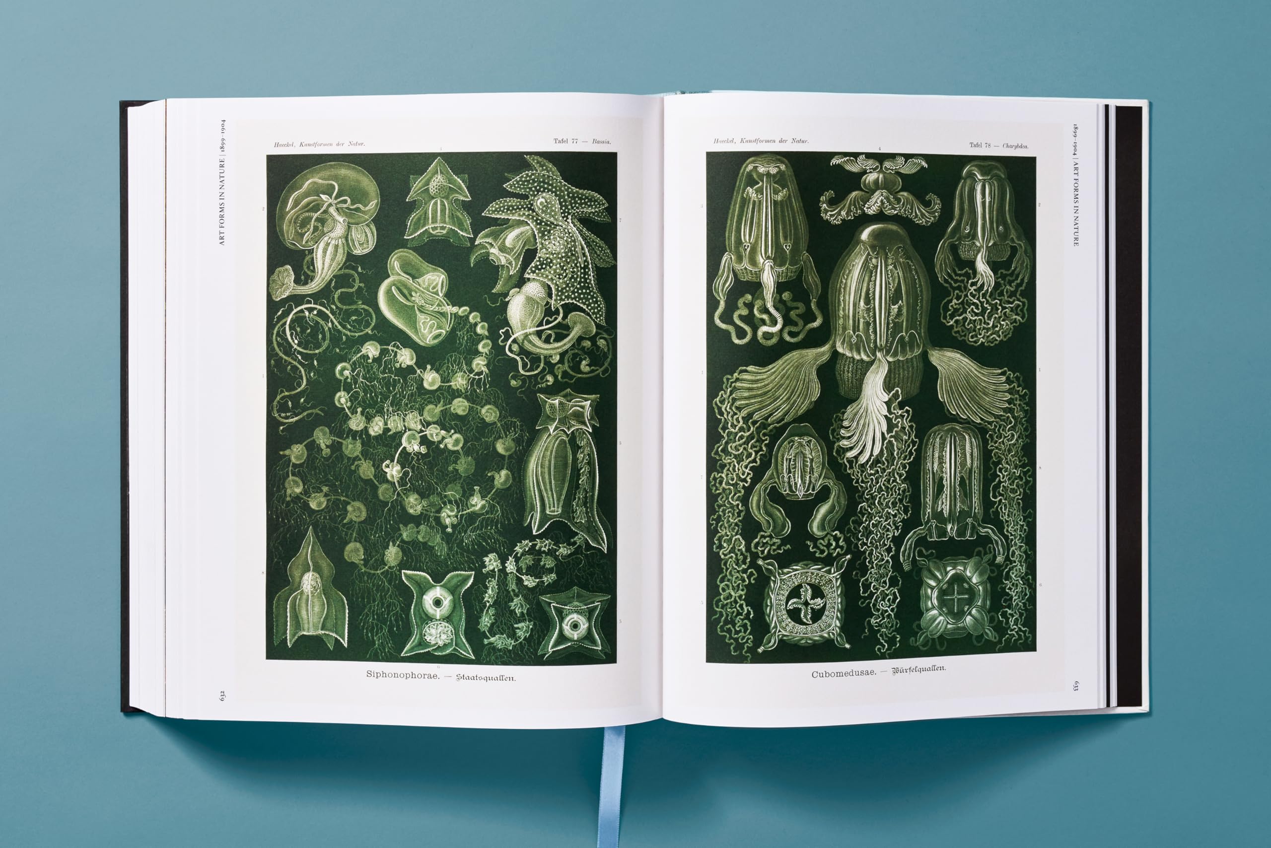 The Art and Science of Ernst Haeckel