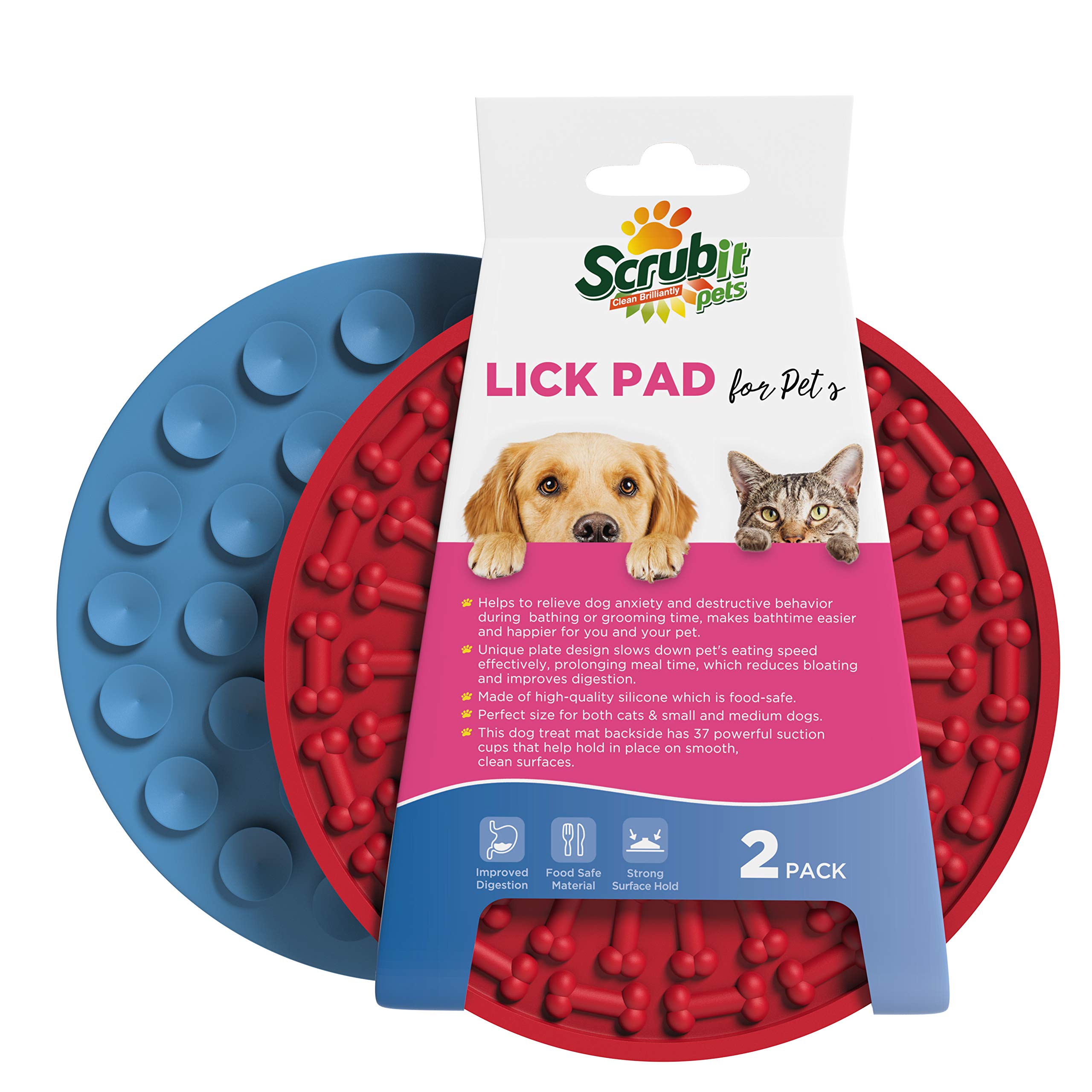 Why Do Dogs Eat Walls