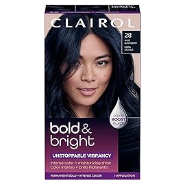 Clairol Bold & Bright Permanent Hair Dye, 28 Wild Blackberry Hair Color, Pack of 1