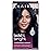 Clairol Bold & Bright Permanent Hair Dye, 28 Wild Blackberry Hair Color, Pack of 1