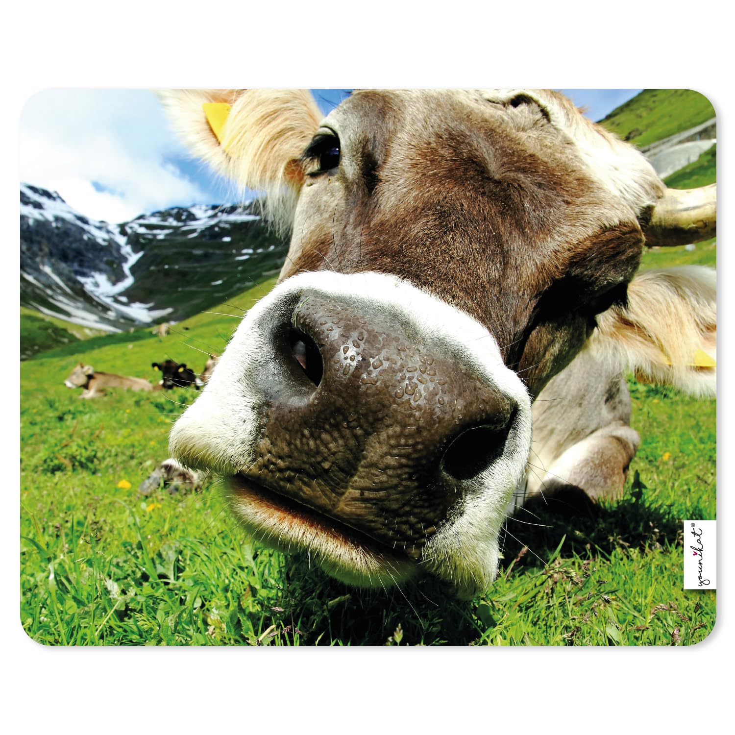 younikat Mauspad Kuh I 24 x 19 cm Mousepad in Standard-Größe I Qualitätsdruck auf Zellkautschuk I rutschfest wasserabweisend und abwischbar I dv1244