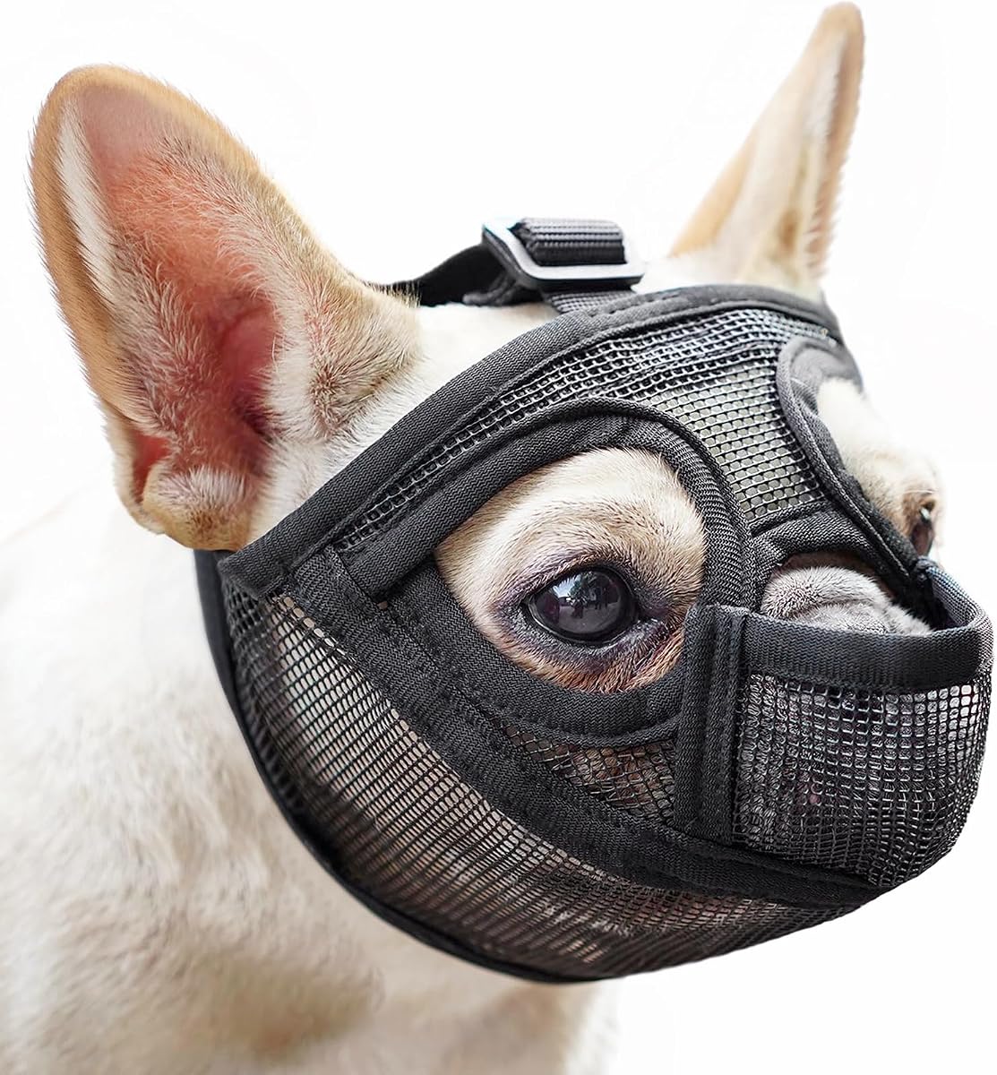 bozal de perro de hocico corto de malla con diseño anticomida para Frenchie | Se adapta a Bulldog francés, Pug, Bulldog inglés, previene la búsqueda de basura, uso de aseo para caminar, permite beber con jadeo completo | Black, S