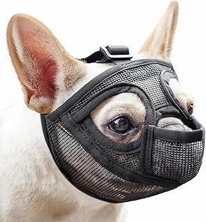 Muzzle For Boston Terrier Picks collage image 3