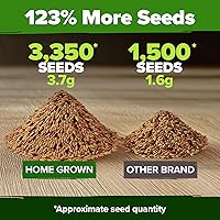 Vista 4 de HOME GROWN Semillas de zanahoria arcoíris 10 variadas 3350+ semillas tradicionales sin OMG para plantar, alta germinación, verduras de raíz gourmet