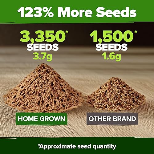 Vista 4 de HOME GROWN Semillas de zanahoria arcoíris 10 variadas 3350+ semillas tradicionales sin OMG para plantar, alta germinación, verduras de raíz gourmet