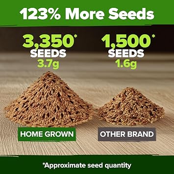 HOME GROWN Rainbow Carrot Seeds 10 Variety Mix 3350+ Heirloom Non-GMO Seeds for Planting, High Germination, Multi-Color Gourmet Root Vegetables, Kids Garden, Crunchy Fresh Eating (Daucus carota)
