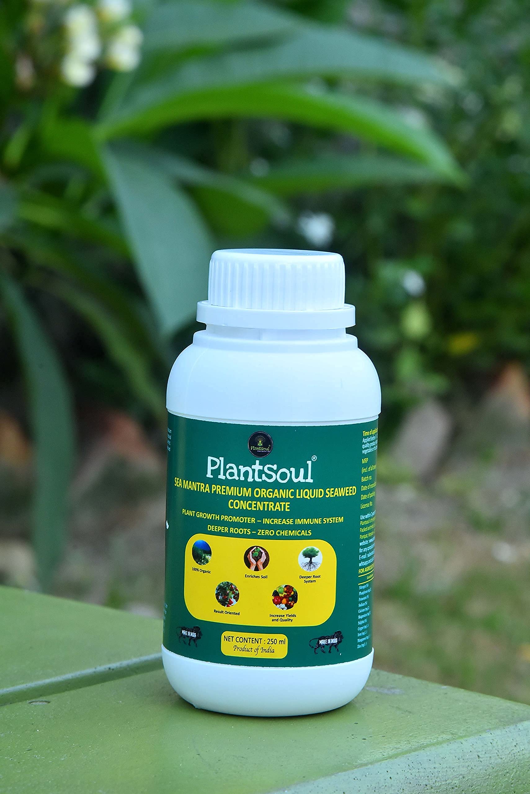 Seaweed Sea Mantra 250 ml Premium Organic Liquid Concentrate with Measuring Cup - Fertilizer for All Indoor and Outdoor - Plants, Crops and Trees