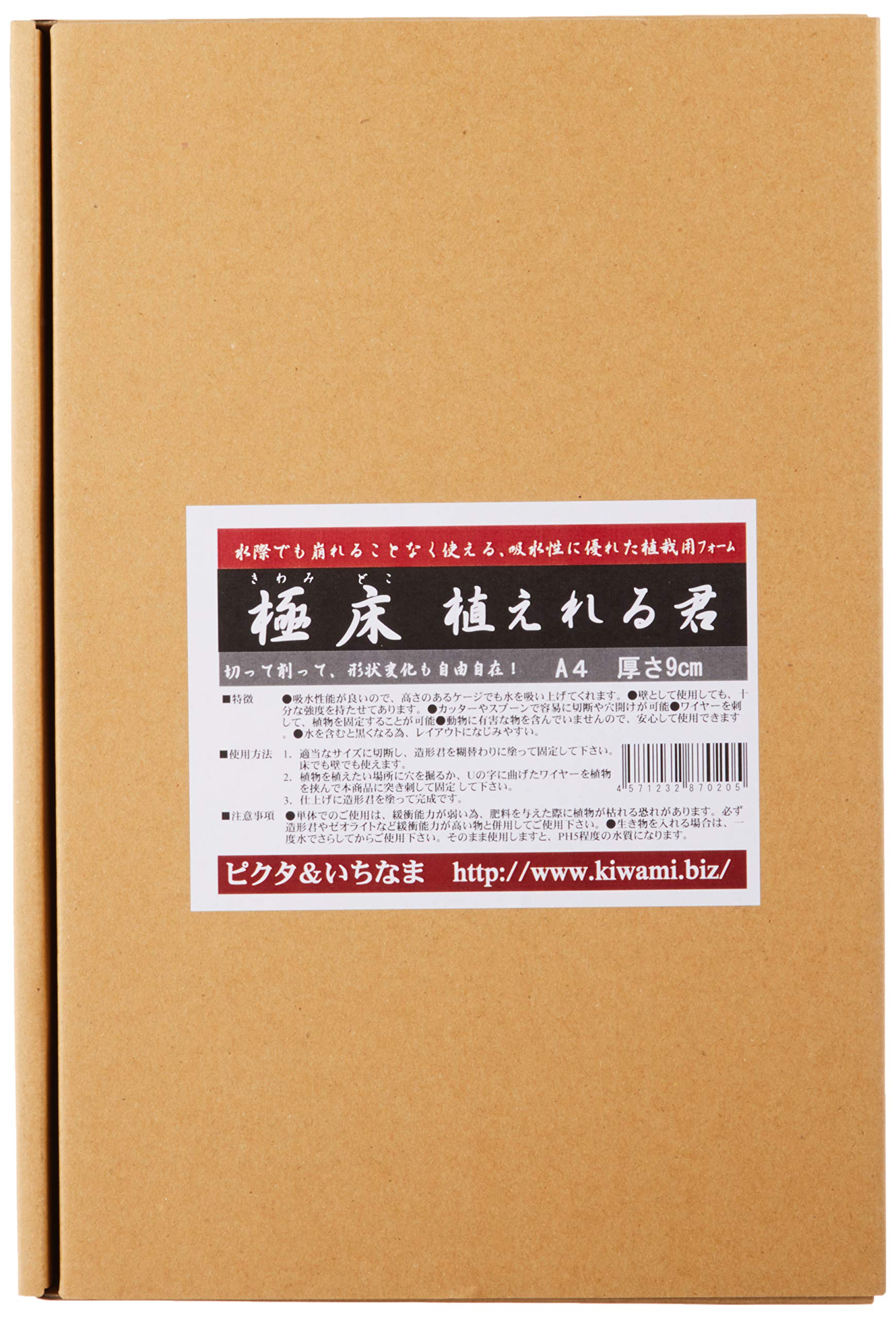 Amazon.co.jp: ピクタ 極床 植えれる君 A4 9cm : ホーム＆キッチン