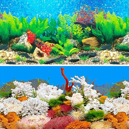 Amazon 水槽 魚タンク バックスクリーン 両面印刷 背景 水族館ポスター 水槽の飾り B 60x40cm Iriscargo バックグラウンド 背景 通販