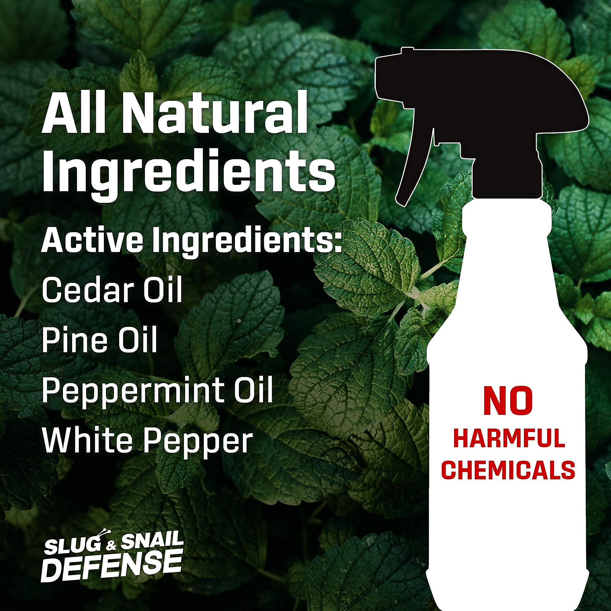 Exterminators Choice Slug and Snail Spray 1 Gallon Repels Most