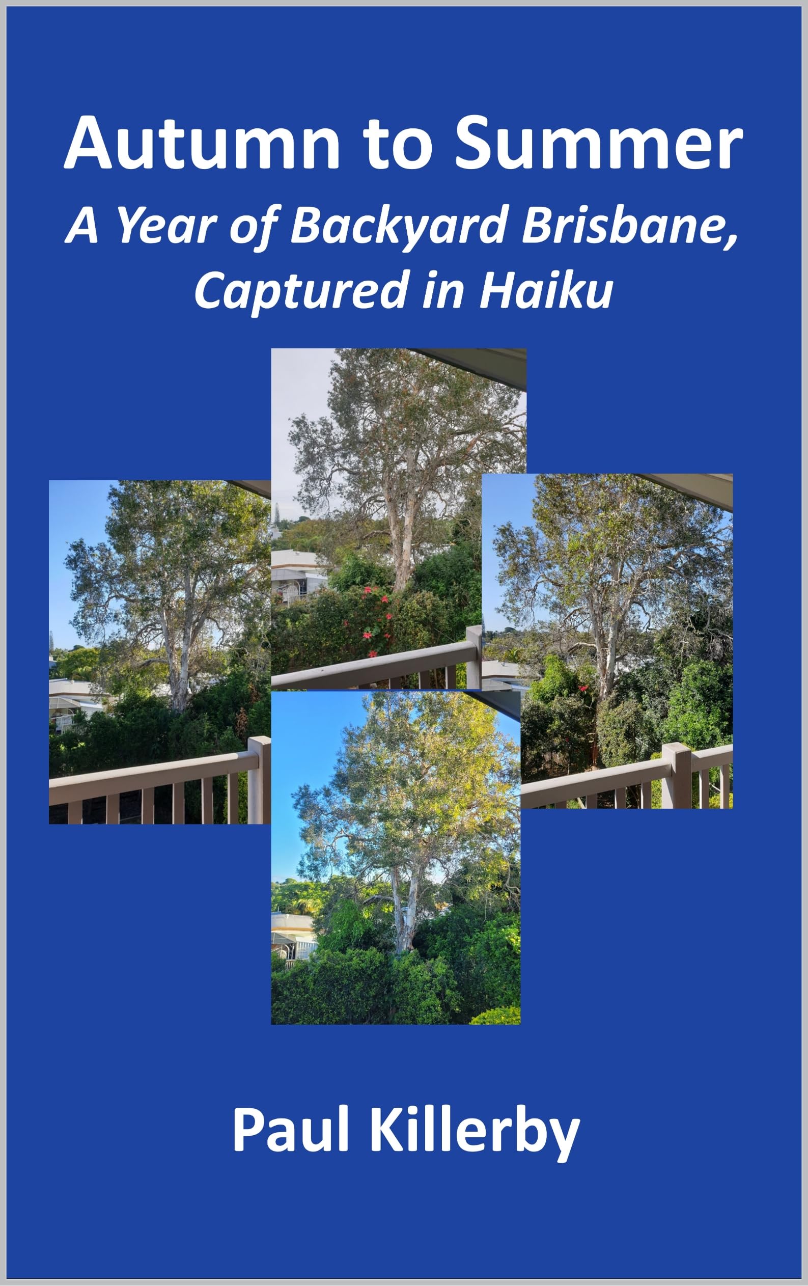 Brisbane Haiku anthologie poésie nature anglophone backyard