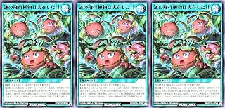 【3枚セット】 ラッシュデュエル RD/KP26-JP048 謎の飛行植物は実在した！！ レア R 君臨のヘッドライナー