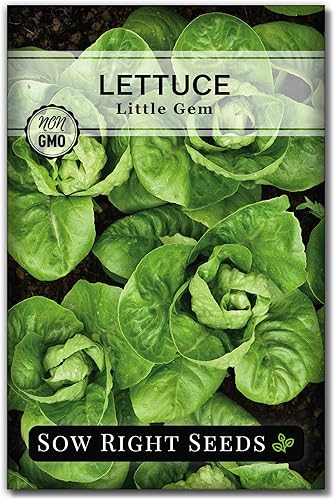 Sow Right Seeds - Semillas de lechuga Little Gem para plantar - Paquete de reliquia sin OMG con instrucciones para plantar un jardín de verduras en disponible en Yaxa Colombia