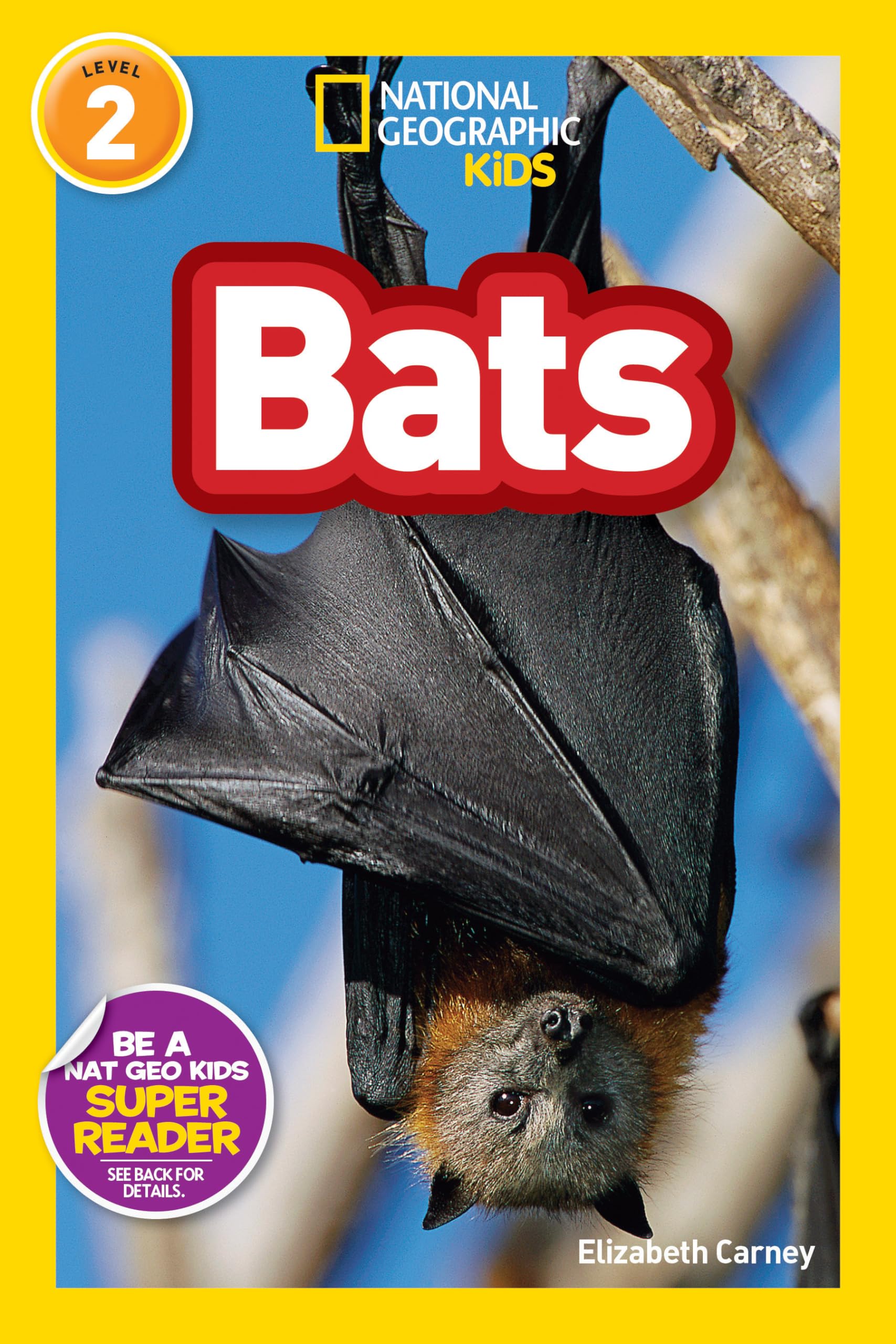 Bats (National Geographic Readers) (National Geographic Kids Readers: Level 2) Paperback – Illustrated, 15 Oct. 2010