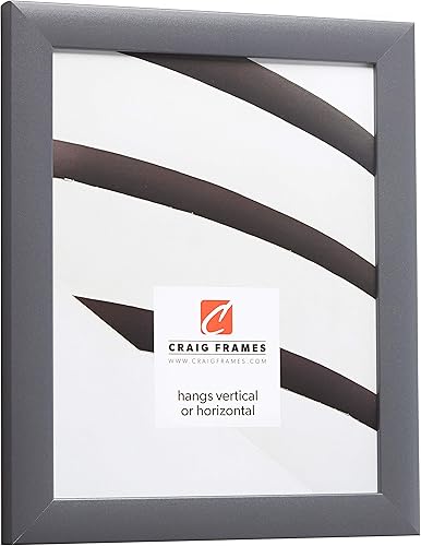Miniatura 2 de Craig Frames - Marcos para fotos con acabado liso, 1 pulgada de ancho, varios colores., Madera, 16x20
