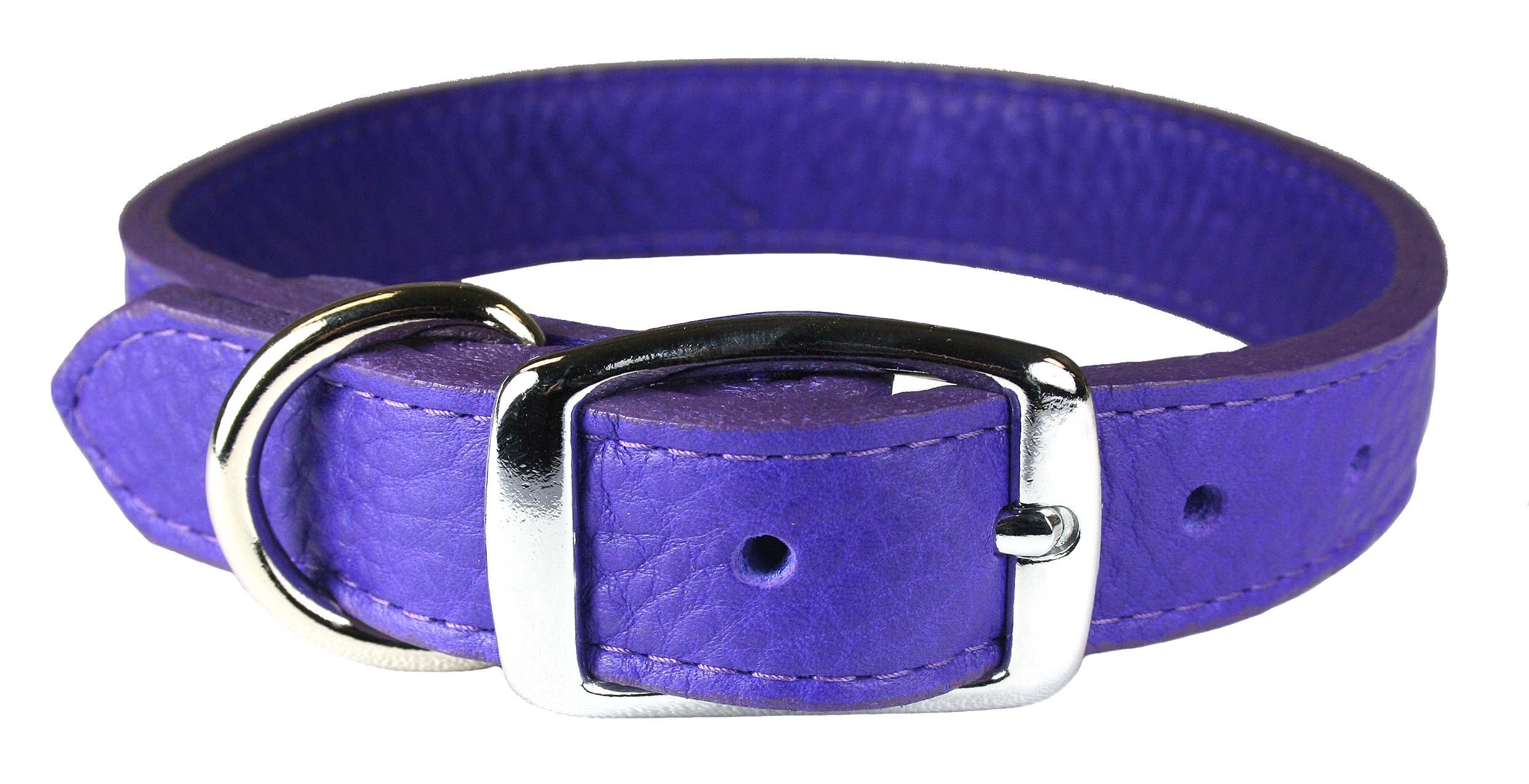 Collier chien cuir violet Omni Pet 6267-VI20 pour les balades de style