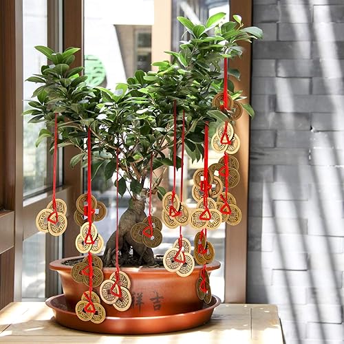 Miniatura 4 de Monedas china de la fortuna, Feng Shui, Monedas I-Ching Monedas tradicionales con cadena roja para la riqueza y el éxito, 5 estilos