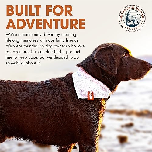 Miniatura 7 de Mountain Hound Cuencos de acero inoxidable para perros, cuencos antideslizantes para alimentos y agua, fáciles de limpiar, de grado alimenticio, sin