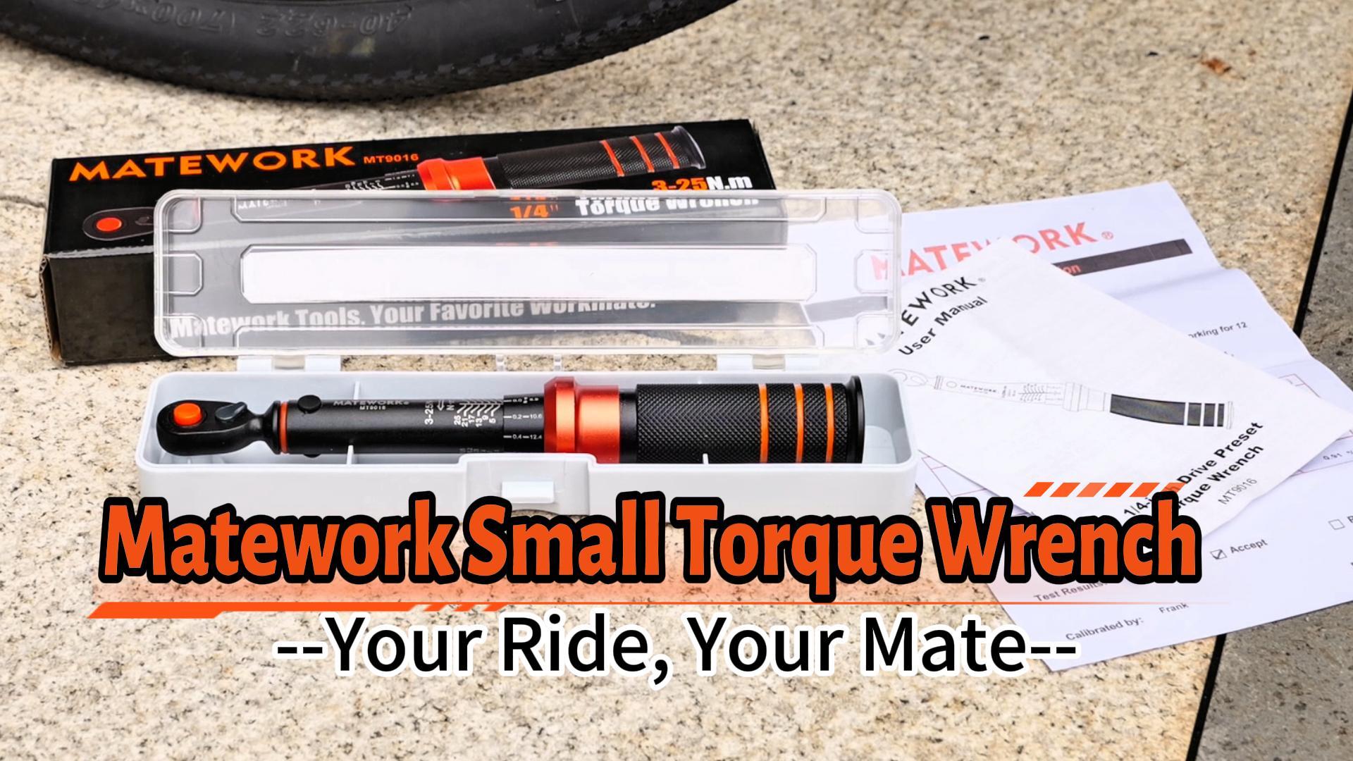 Matework 1/4-Inch Drive Click Torque Wrench, 3-25 Nm/26.6-221.3 in