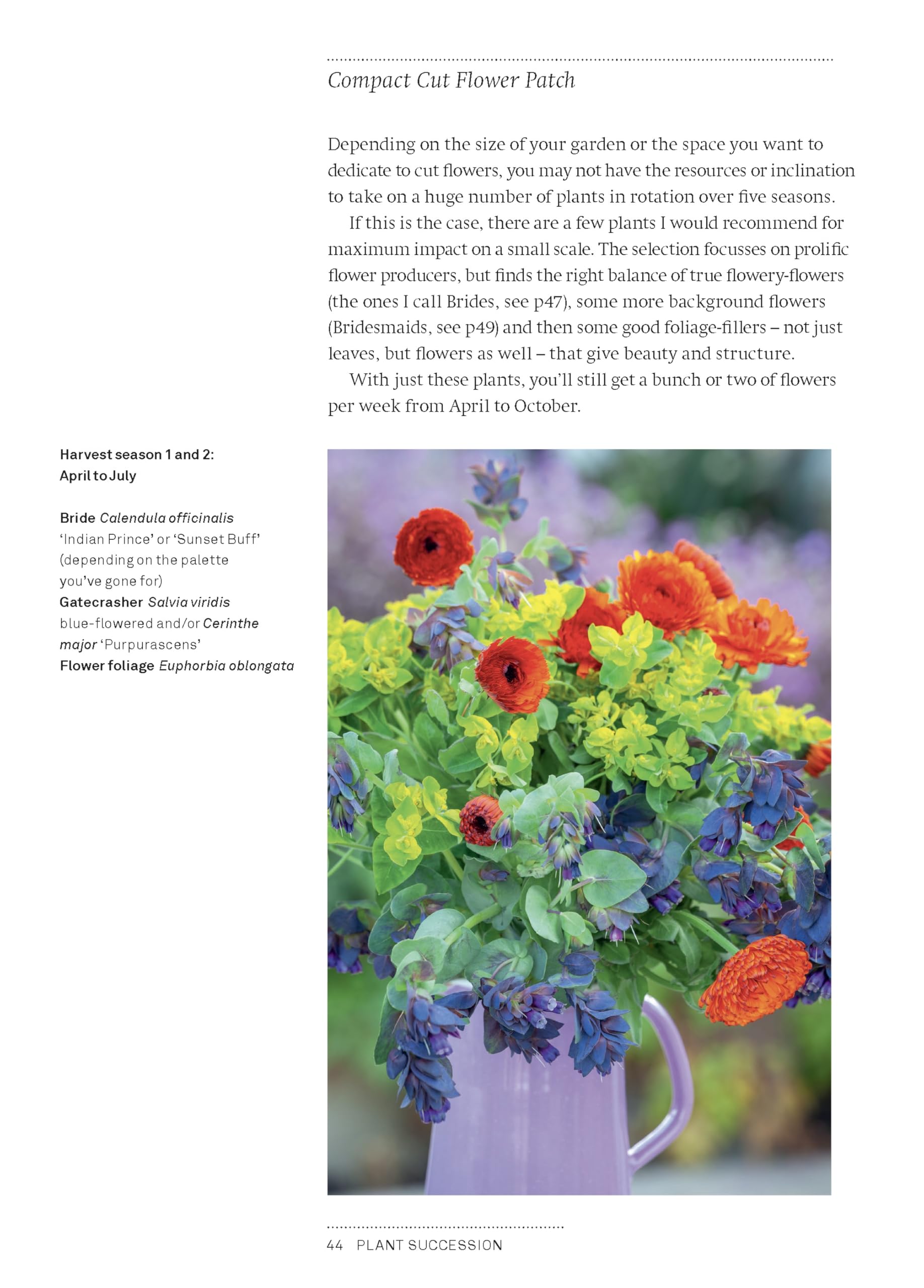 A Year of Cut Flowers: A life of growing and arranging for all seasons