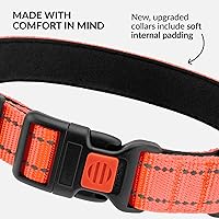 Vista 55 de CollarDirect Reflective Dog Collar for a Small, Medium, Large Dog or Puppy with a Quick Release Buckle - Boy and Girl - Nylon Suitable for Swimming