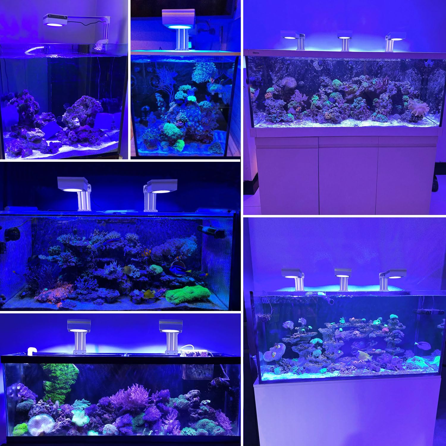 PopBloom RL90 LED Aquarium LED Beleuchtung Weiß, Vollspektrum Aquarium Lampe, Salzwasser Aquarien Licht mit App-Steuerung, für Korallen, Riffe 60cm Marine Coral Tank (RL90 Salzwasser)