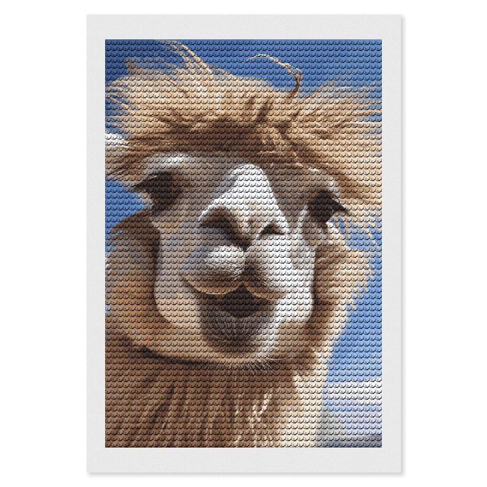 DWVTSLH Funny Alpaca Llama Diamond Painting Kits for Adults, Personalized Diamond Photo Art Full Drill, DIY 5D Diamond Art Painting Kits for Beginners, Home Wall Decor 8"x12"